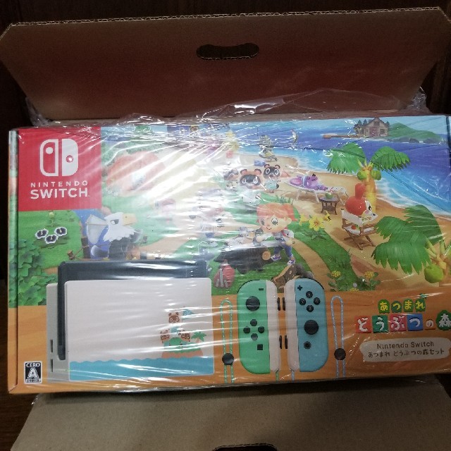 nintendo switch どうぶつの森セット