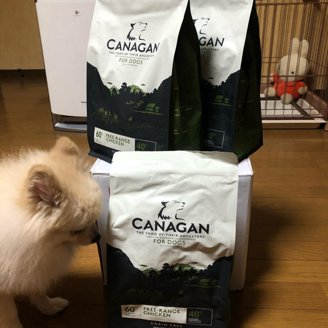 カナガン　ドッグフード　2kg × 3袋セット