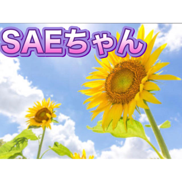 SAEセレクト★取置7月14日迄