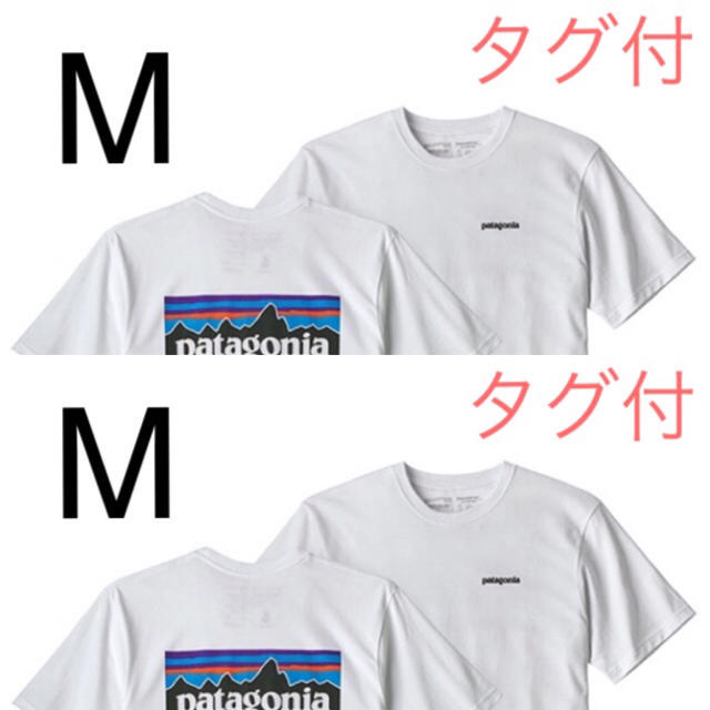 patagonia(パタゴニア)の【同梱版】最新2020 パタゴニアTシャツ Mサイズ 2着同梱版 メンズのトップス(Tシャツ/カットソー(半袖/袖なし))の商品写真