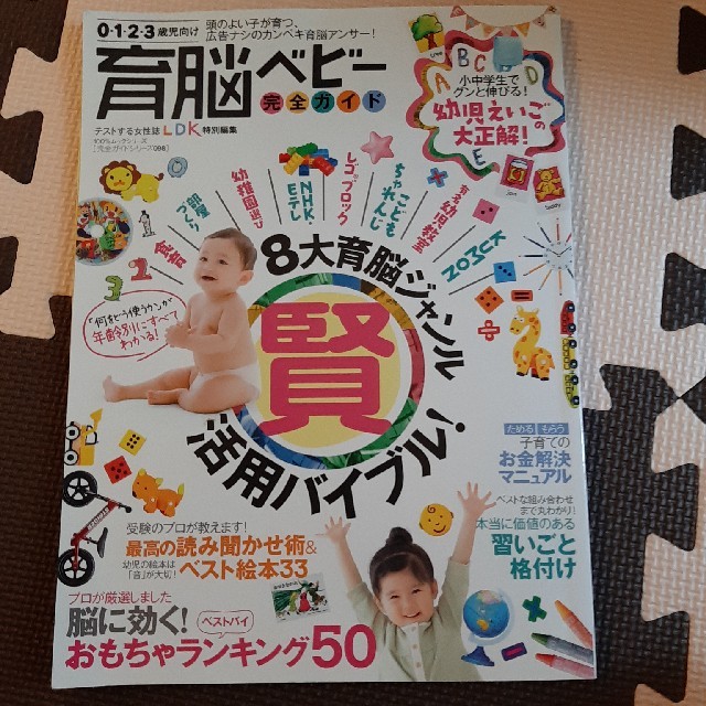 育脳ベビ－完全ガイド ８大育脳ジャンル賢活用バイブル！ エンタメ/ホビーの本(人文/社会)の商品写真