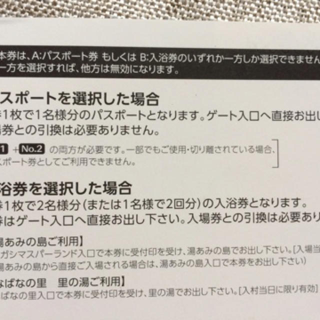 施設利用券ナガシマスパーランド パスポート 3枚