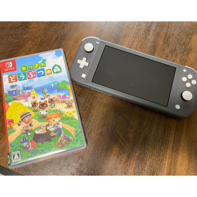 Nintendo Switchlight  グレー本体