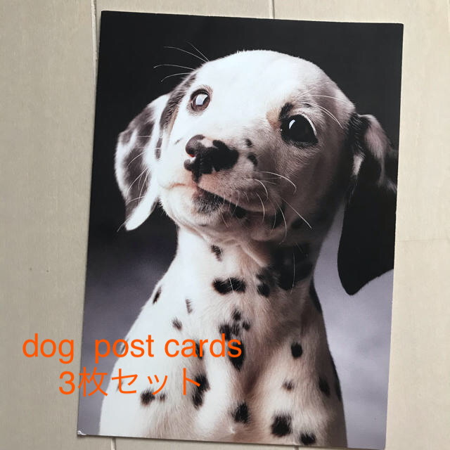 dog ポストカード　3セット エンタメ/ホビーの声優グッズ(写真/ポストカード)の商品写真