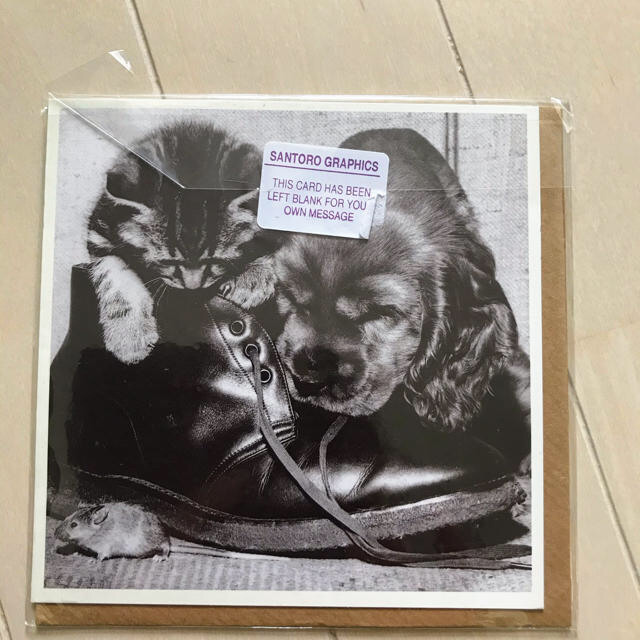 dog ポストカード　3セット エンタメ/ホビーの声優グッズ(写真/ポストカード)の商品写真