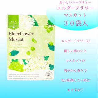 セイカツノキ(生活の木)のエルダーフラワーマスカットティーバック30袋入　生活の木おいしいハーブティー(茶)