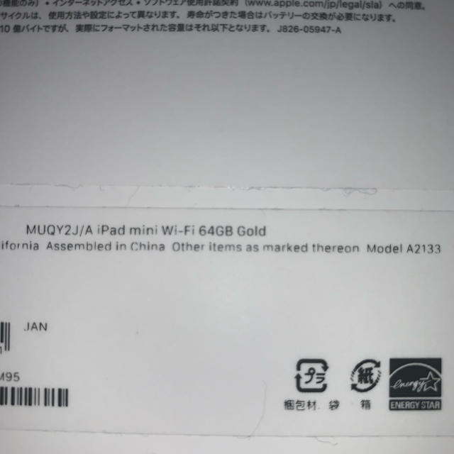 ipad mini5 wifi 64GB/Apple care約1年付き