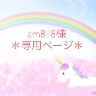 ＊am818様専用ページ＊(チャーム)