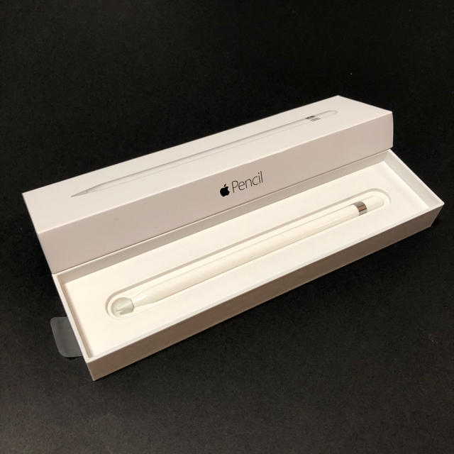 Apple Pencil 第一世代 ジャンク