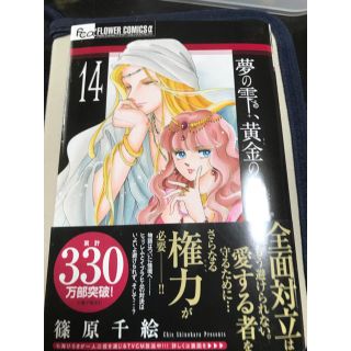 夢の雫、黄金の鳥籠 １４(少女漫画)