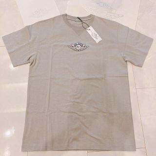 ディオール(Dior)のair dior jordan Tシャツ 希少XL(Tシャツ/カットソー(半袖/袖なし))