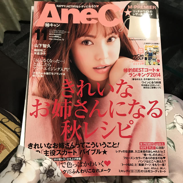 AneCan 2014年11月号 エンタメ/ホビーの雑誌(ファッション)の商品写真