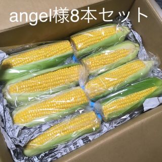 angel様 B品訳あり新鮮生野菜果物広島県産自家製とうもろこし皮付き8本セット(野菜)