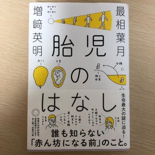 胎児のはなし(結婚/出産/子育て)