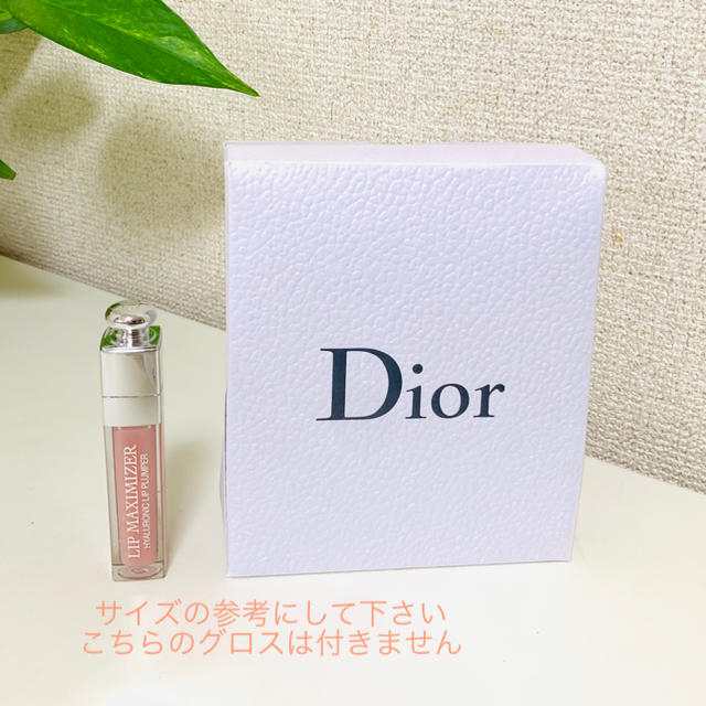 Dior(ディオール)のDior プレゼント用ボックスセット レディースのバッグ(ショップ袋)の商品写真