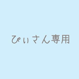 ぴぃさん専用(その他)