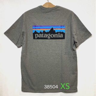 パタゴニア(patagonia)のpatagonia パタゴニア TシャツP-6 ロゴ レスポンシビリティー(Tシャツ/カットソー(半袖/袖なし))