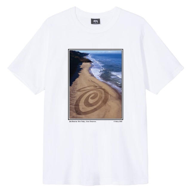 STUSSY LAND ART TEE Lサイズ　ステューシー ランドアート