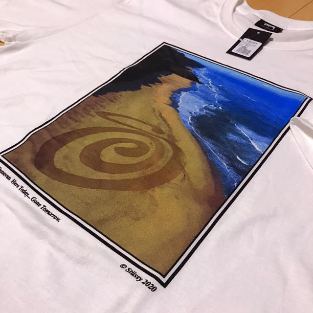 STUSSY LAND ART TEE Lサイズ　ステューシー ランドアート 3