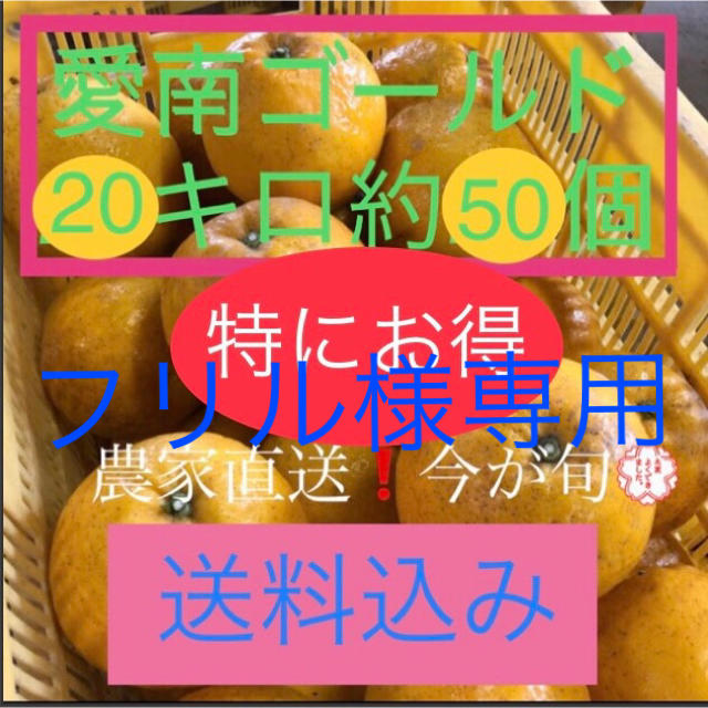 愛媛県産 農家直送 愛南ゴールド(河内晩柑) 食品/飲料/酒の食品(フルーツ)の商品写真