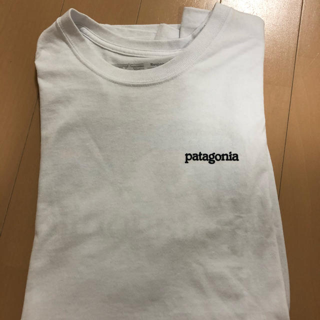 patagonia(パタゴニア)の美品！Patagonia Tシャツ　Mサイズ メンズのトップス(Tシャツ/カットソー(半袖/袖なし))の商品写真