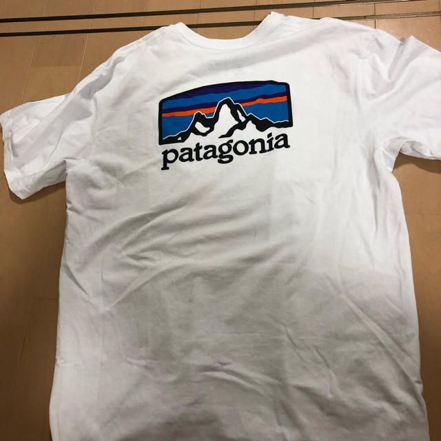 patagonia(パタゴニア)の美品！Patagonia Tシャツ　Mサイズ メンズのトップス(Tシャツ/カットソー(半袖/袖なし))の商品写真