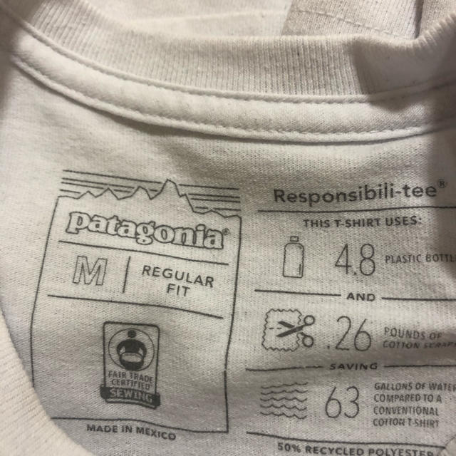 patagonia(パタゴニア)の美品！Patagonia Tシャツ　Mサイズ メンズのトップス(Tシャツ/カットソー(半袖/袖なし))の商品写真