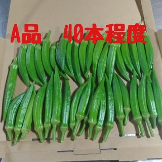 福岡県産A品オクラ40本程度(野菜)