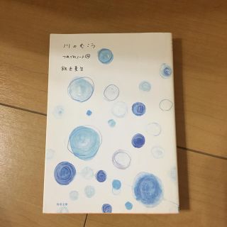 カドカワショテン(角川書店)の川のむこう つれづれノ－ト１４　銀色夏生　エッセイ　エッセー　角川文庫(文学/小説)