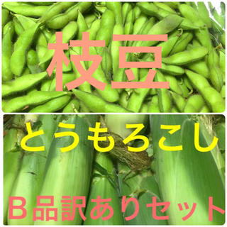 いちご様専用品 広島県産枝豆1kg&B品訳ありとうもろこし4本セット(野菜)