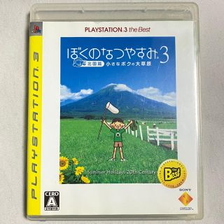 ソニー(SONY)のぼくのなつやすみ3 －北国篇－ 小さなボクの大草原（PLAYSTATION 3 (家庭用ゲームソフト)