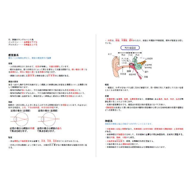 ●○第1種衛生管理者　DVD+テキスト+過去問○● 3