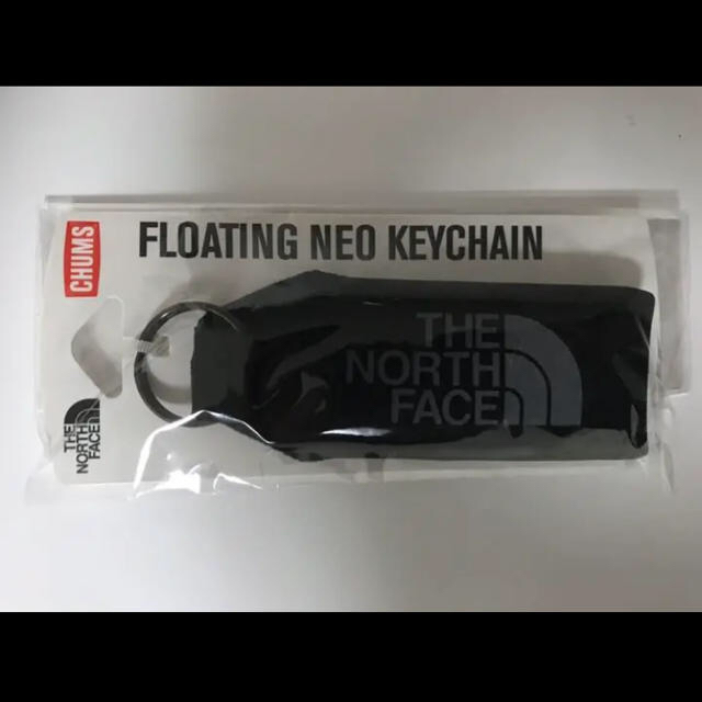 THE NORTH FACE(ザノースフェイス)の【Rin様専用】ノースフェイス2点セット　キーホルダー　ボディーバッグ5L メンズのファッション小物(キーホルダー)の商品写真