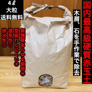 【国内最高級】硬質赤玉土【大粒4ℓ】【送料無料】(その他)