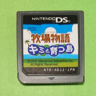 ニンテンドーDS(ニンテンドーDS)の牧場物語 キミと育つ島(携帯用ゲームソフト)