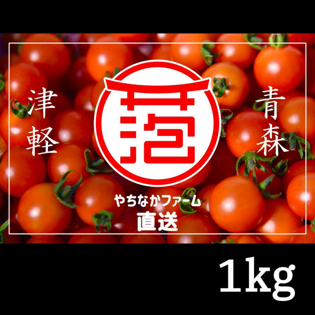 ☘️農学博士のミニトマト【Dr.トマト 1Kg】☘️〜青森津軽産〜 食品/飲料/酒の食品(野菜)の商品写真