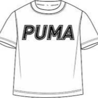 プーマ(PUMA)の新品　puma　Tシャツ素敵可愛い♪(Tシャツ(半袖/袖なし))