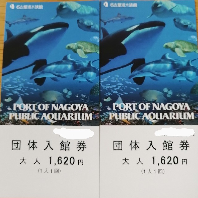 名古屋港水族館 　チケット
大人2枚      計2枚セット