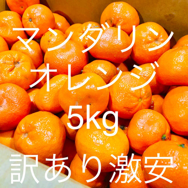 マーコットマンダリンオレンジ5kg  訳あり激安　全国送料無料 食品/飲料/酒の食品(野菜)の商品写真