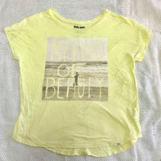 ライトオン(Right-on)のRight-on M コットン100%  レモンイエロー バックナンバー(Tシャツ(半袖/袖なし))