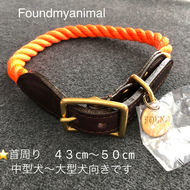 ????新品 Lサイズ⭐found my animal 首輪 オレンジ????????