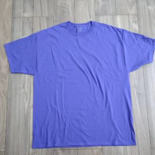 チャンピオン(Champion)のChampion　Tシャツ　 3XL(Tシャツ/カットソー(半袖/袖なし))