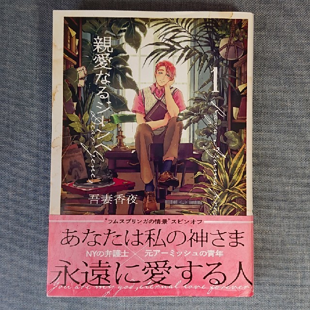 親愛なるジーンへ1巻/吾妻香夜 エンタメ/ホビーの漫画(ボーイズラブ(BL))の商品写真