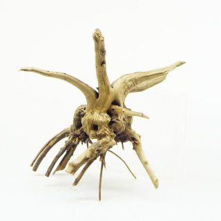 流木 アク抜・沈水済 20cm弱 SW186 アクアリウム(アクアリウム)