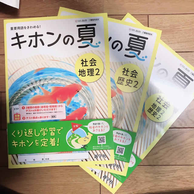 教師用見本 中学2年 キホンの夏 新学社 3点セット 地理 歴史の通販 By 利休さん S Shop ラクマ