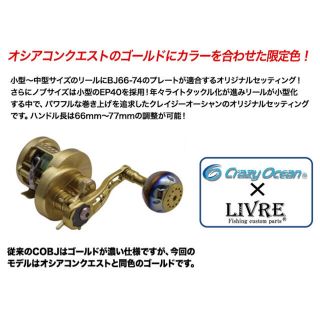 SHIMANO - 早い者勝ち リブレ BJ 66-74+EP40 LTD シマノ、ダイワ