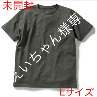 ザノースフェイス(THE NORTH FACE)の【えいちゃん様専用】ノースフェイス　ポケットTシャツ2点セット　Lサイズ(Tシャツ/カットソー(半袖/袖なし))