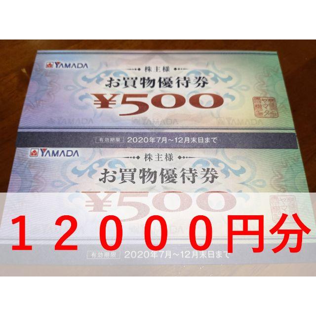 1冊あたり1898円と最安値！最新ヤマダ電気 株主優待12000円分