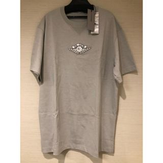 クリスチャンディオール(Christian Dior)のAIR DIOR Tシャツ　グレー　希少XXL(Tシャツ/カットソー(半袖/袖なし))