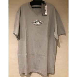 クリスチャンディオール(Christian Dior)のAIR DIOR Tシャツグレー　希少XL(Tシャツ/カットソー(半袖/袖なし))